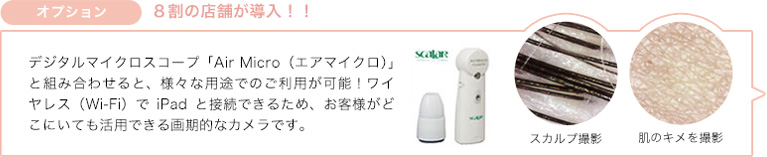 オプション