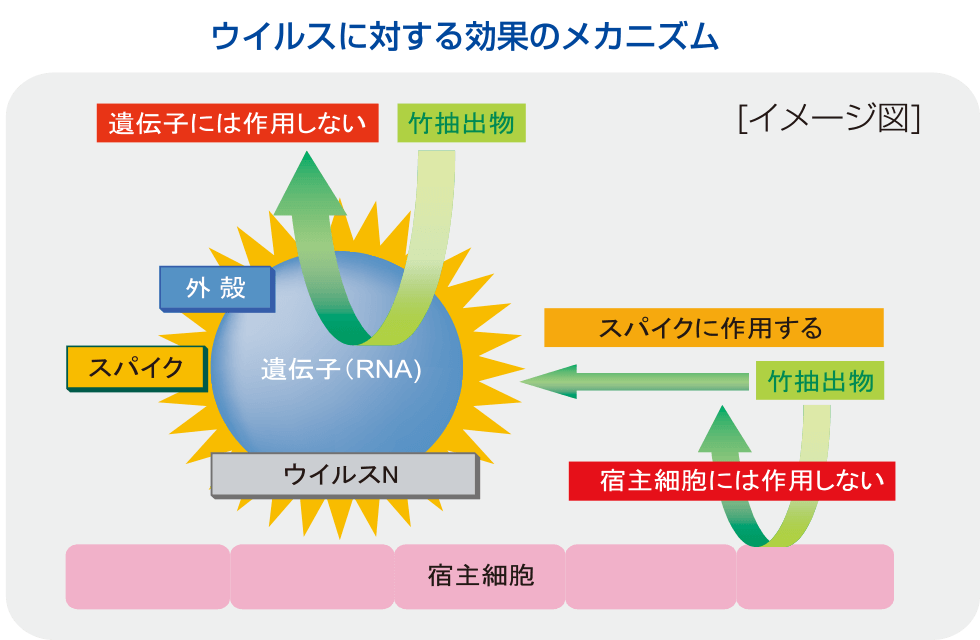 ウイルスに対する効果メカニズム